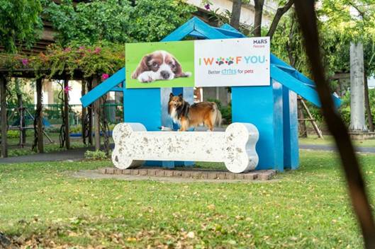 สวนสาธารณะเพื่อสุนัข