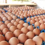 กระทรวงพาณิชย์ เผยขึ้นราคาไข่ไก่หน้าฟาร์มฟองละ 10 สตางค์ไม่น่ากังวล